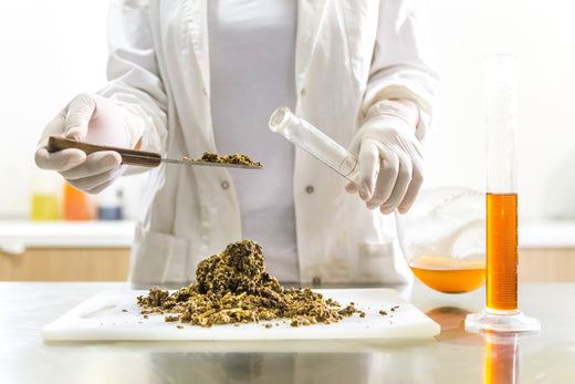 Key Benefits of Propolis
