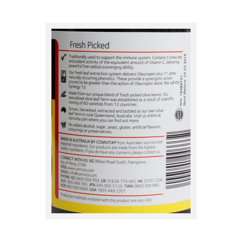 Olive Leaf Extract Original 500ml - Daily Wellness